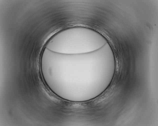 X0000113030390200908271100