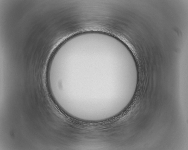 X0000113030391200908271100