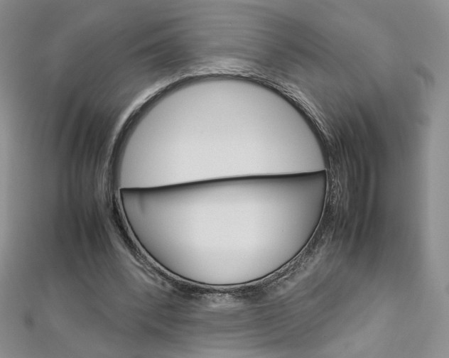 X0000113030392200908271100