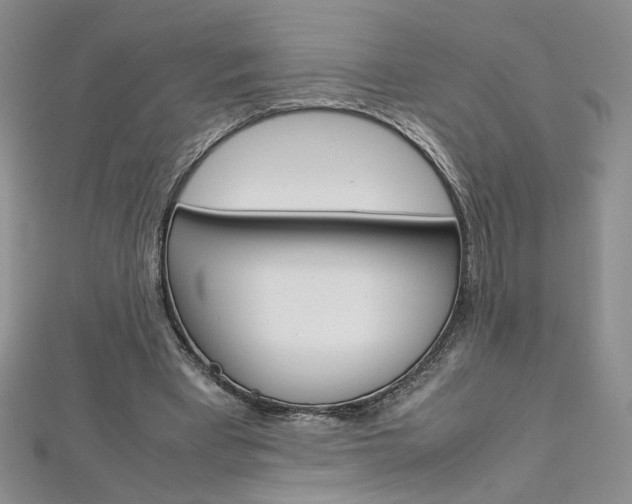 X0000113030393200908271100