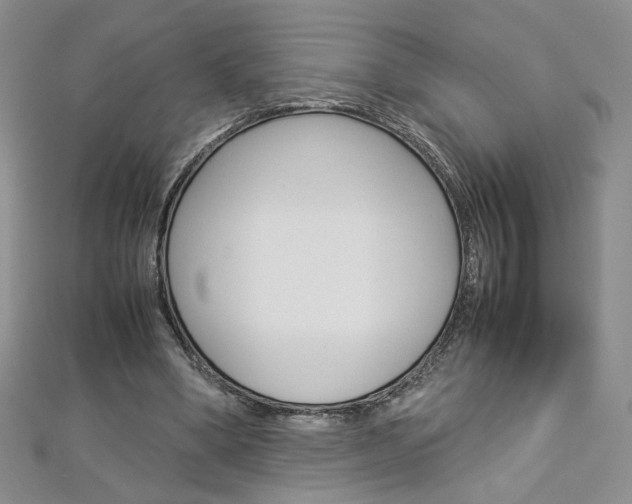 X0000113030394200908271100