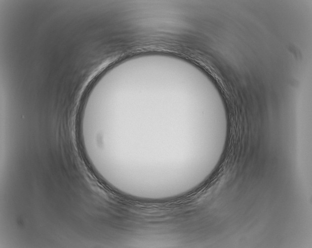 X0000113030395200908271100