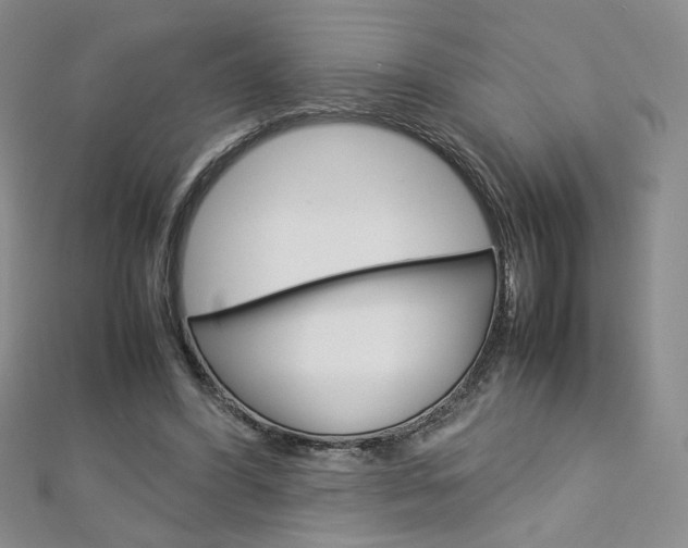 X0000113030396200908271100