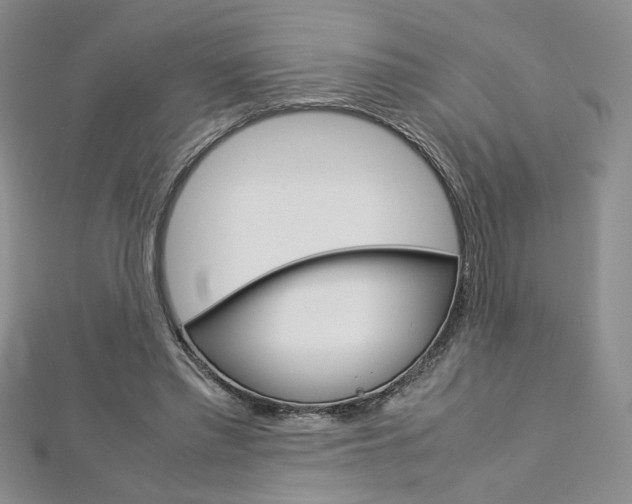 X0000113030397200908271100