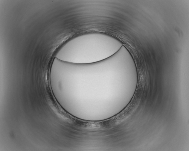 X0000113030398200908271100