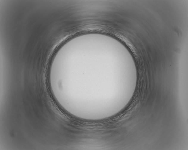 X0000113030399200908271059