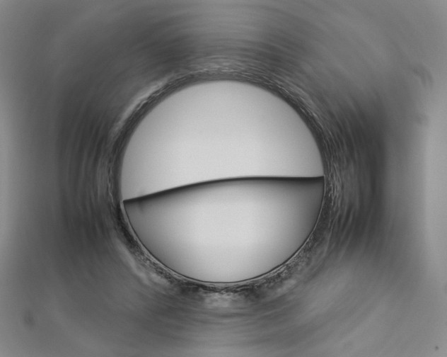 X0000113030400200908271059