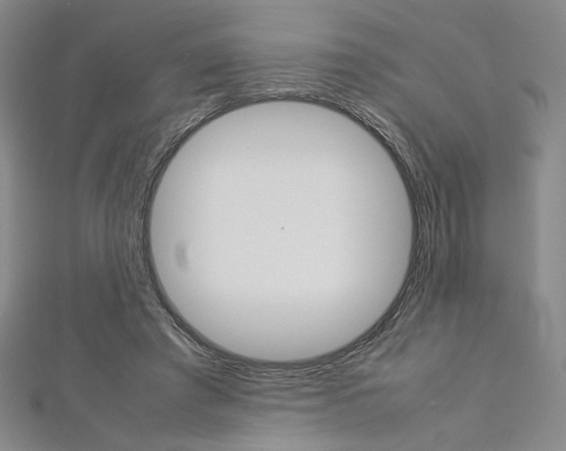 X0000113030401200908271059