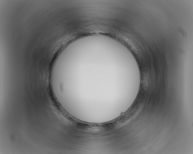 X0000113030402200908271059