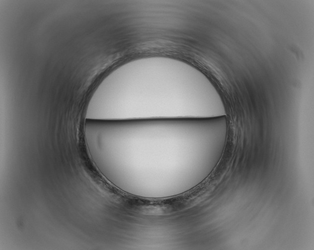 X0000113030404200908271059