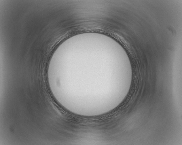 X0000113030405200908271059