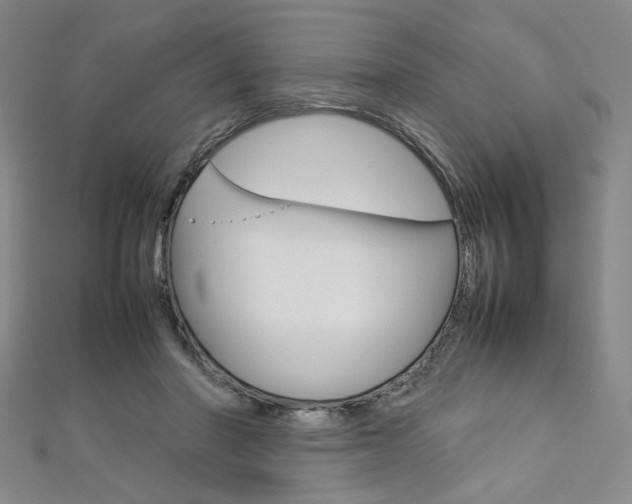 X0000113030406200908271059