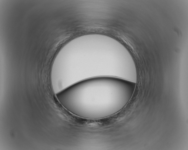 X0000113030407200908271059