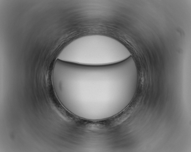 X0000113030408200908271059