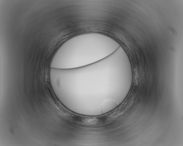 X0000113030410200908271059