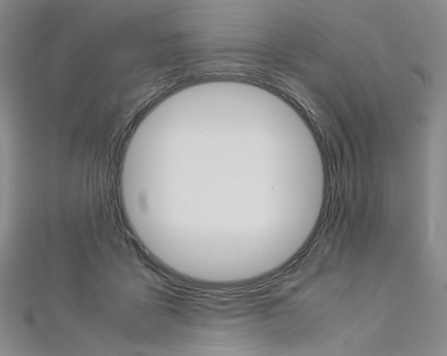 X0000113030411200908271059