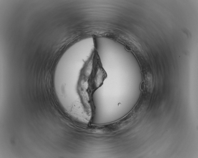 X0000113030412200908271059