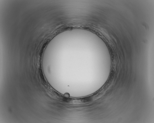 X0000113030413200908271059