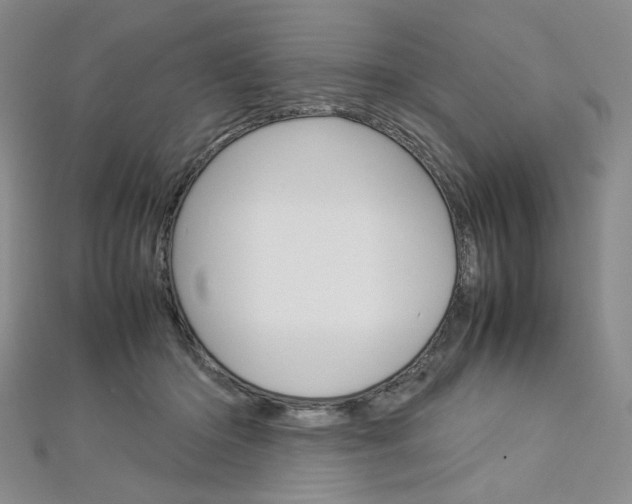 X0000113030414200908271059