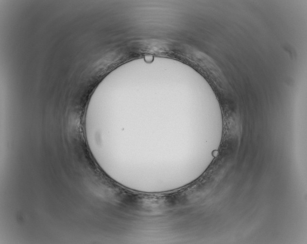 X0000113030415200908271059