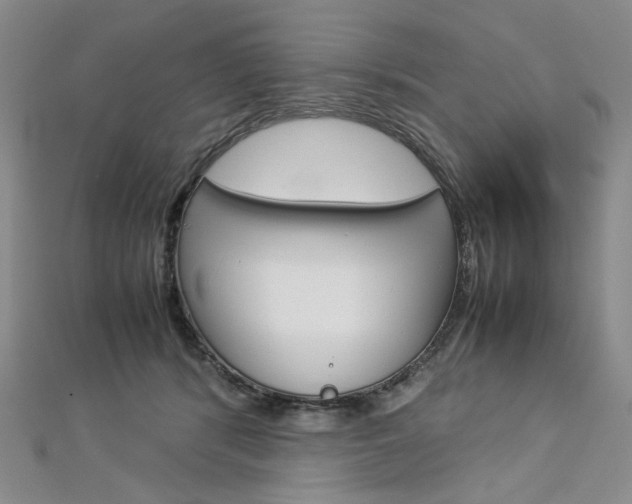 X0000113030416200908271059