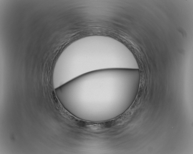 X0000113030417200908271059