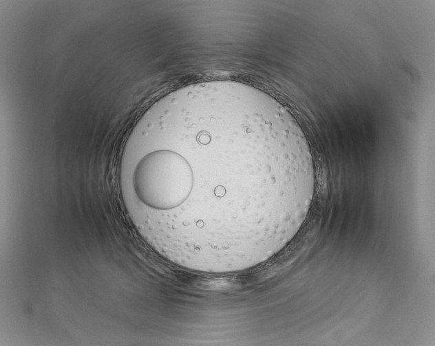 X0000113030418200908271059