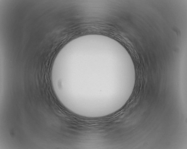 X0000113030419200908271059