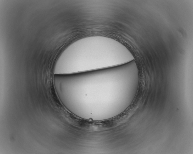 X0000113030420200908271059