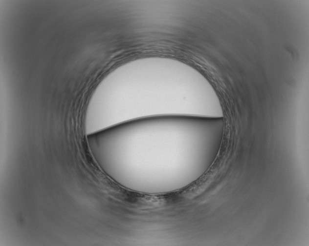 X0000113030421200908271059