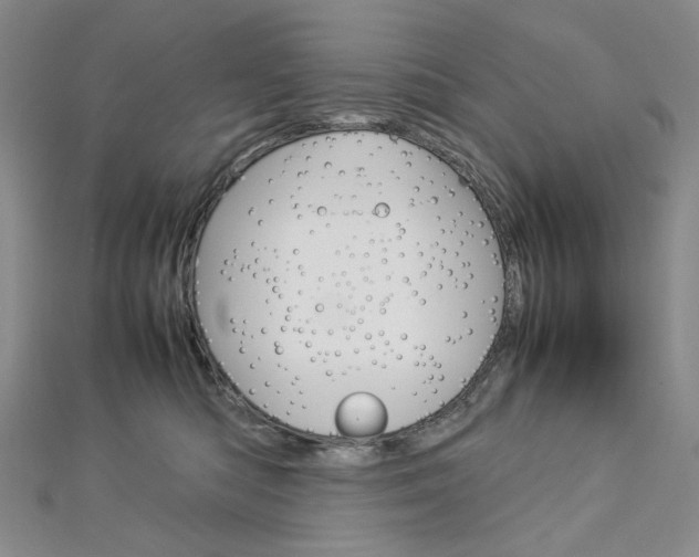 X0000113030422200908271059