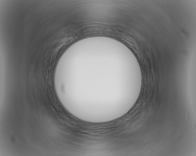 X0000113030423200908271059