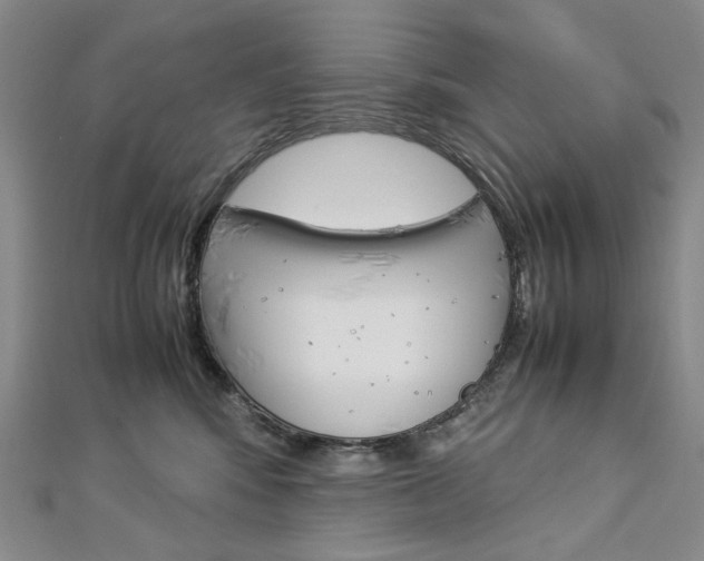 X0000113030424200908271059