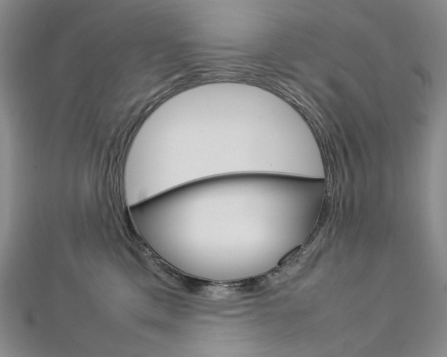 X0000113030425200908271059