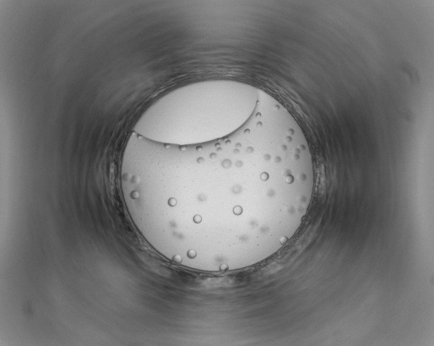 X0000113030426200908271059