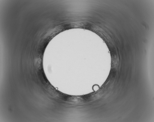 X0000113030427200908271059