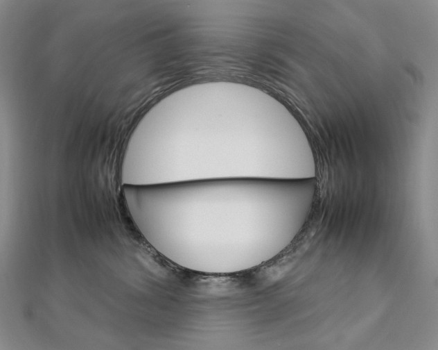 X0000113030428200908271059