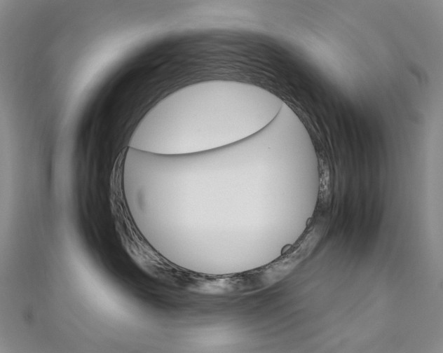 X0000113030430200908271059