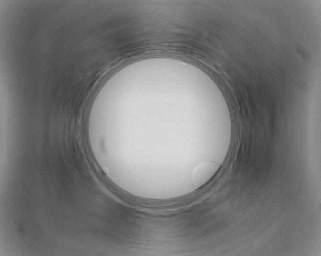 X0000113030431200908271059