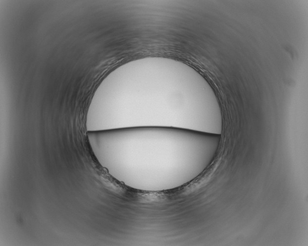 X0000113030432200908271059