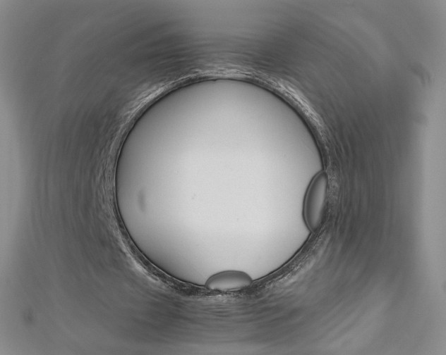 X0000113030433200908271058