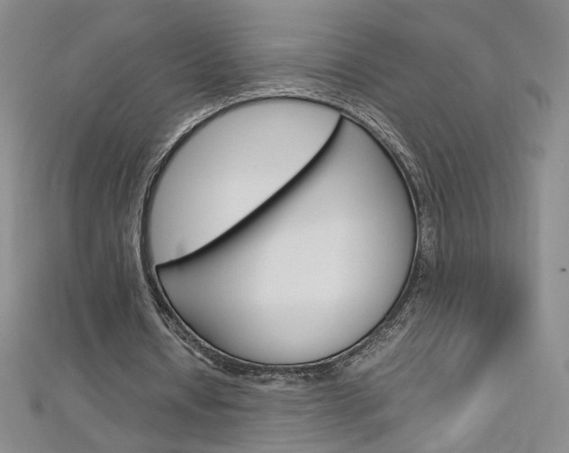 X0000113030434200908271058