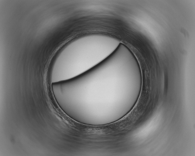 X0000113030435200908271058