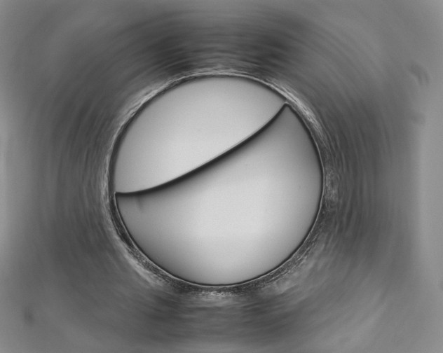 X0000113030437200908271058