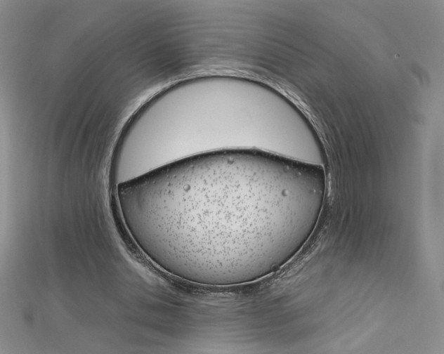 X0000113030438200908271058