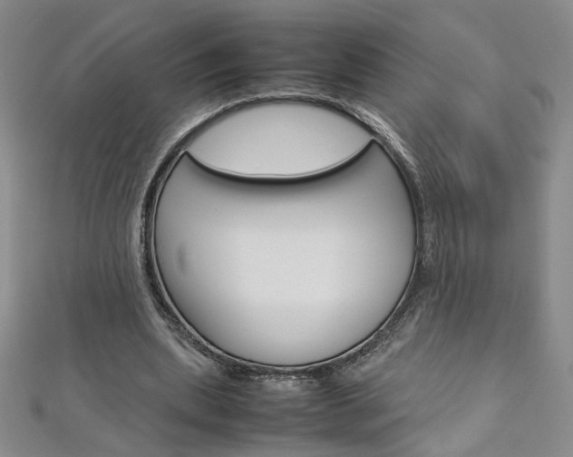 X0000113030439200908271058