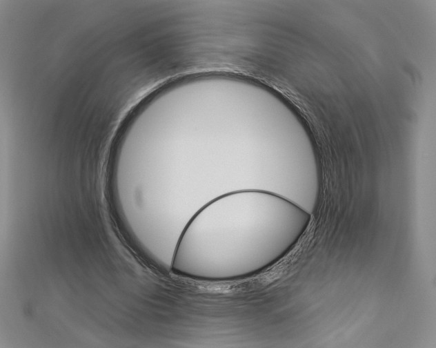 X0000113030440200908271058