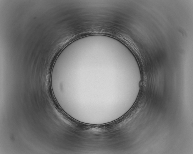 X0000113030441200908271058