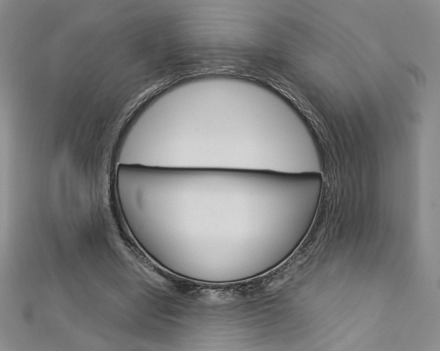 X0000113030442200908271058