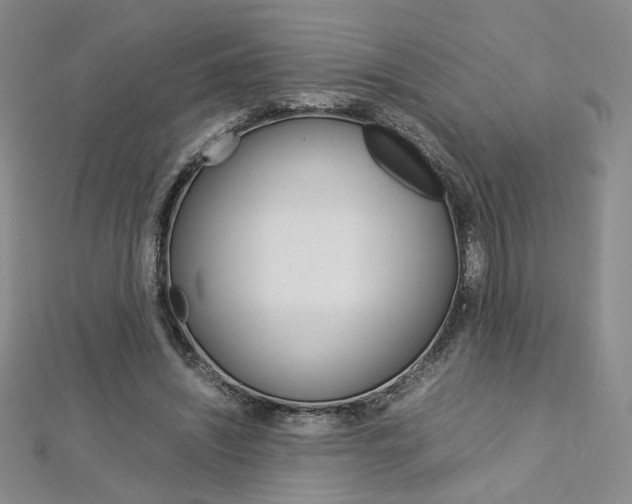 X0000113030444200908271058